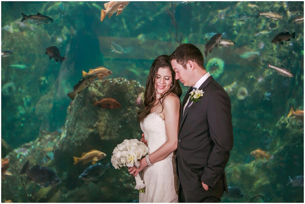 seattle-aquarium-wedding_4548