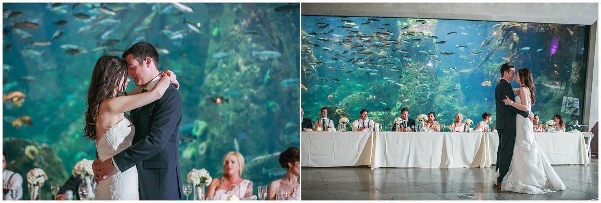 seattle-aquarium-wedding_4564