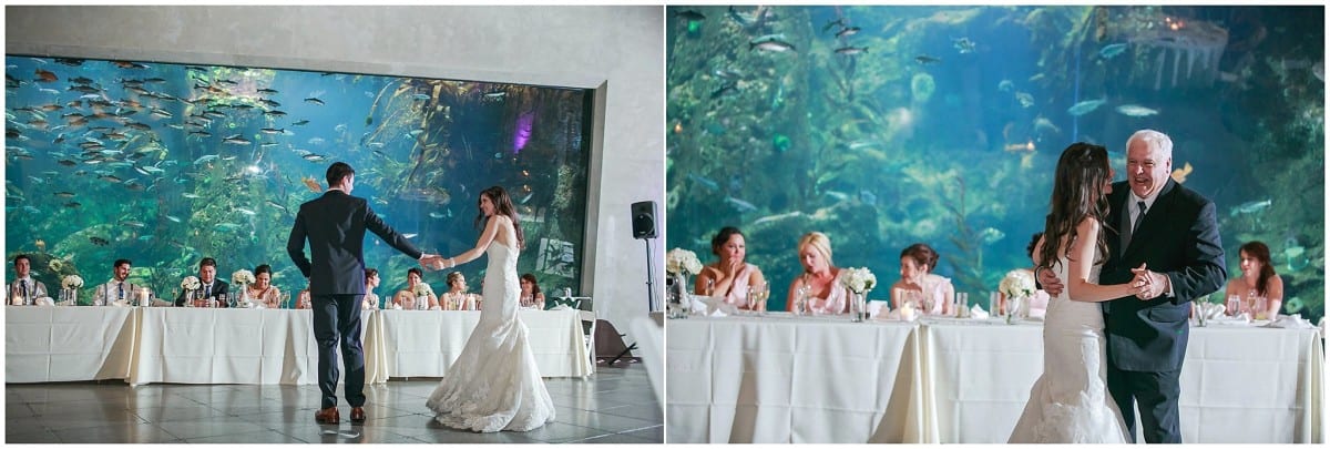 seattle-aquarium-wedding_4565
