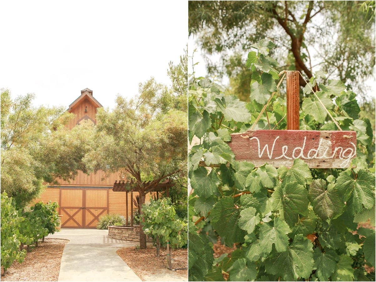 longshadow-ranch-and-winery-wedding_4790