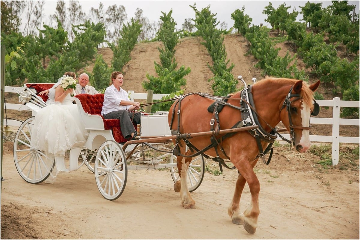 longshadow-ranch-and-winery-wedding_4830