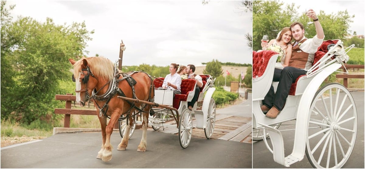 longshadow-ranch-and-winery-wedding_4843
