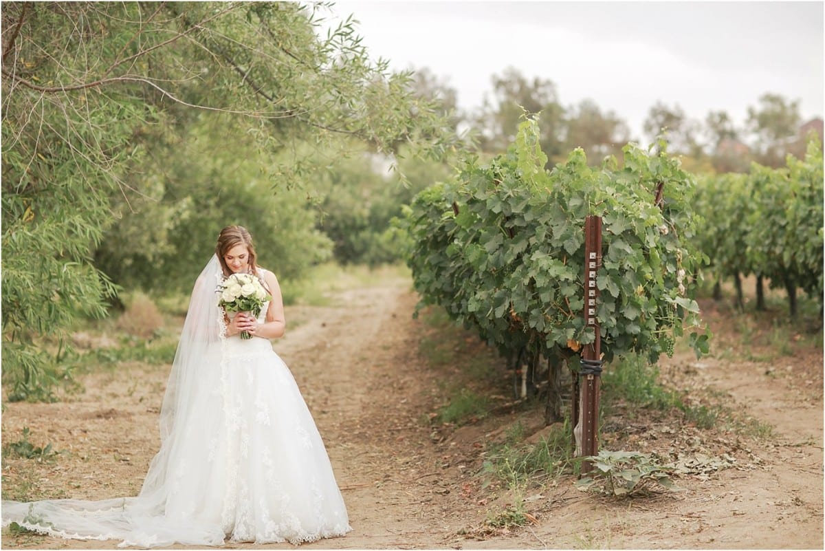 longshadow-ranch-and-winery-wedding_4852