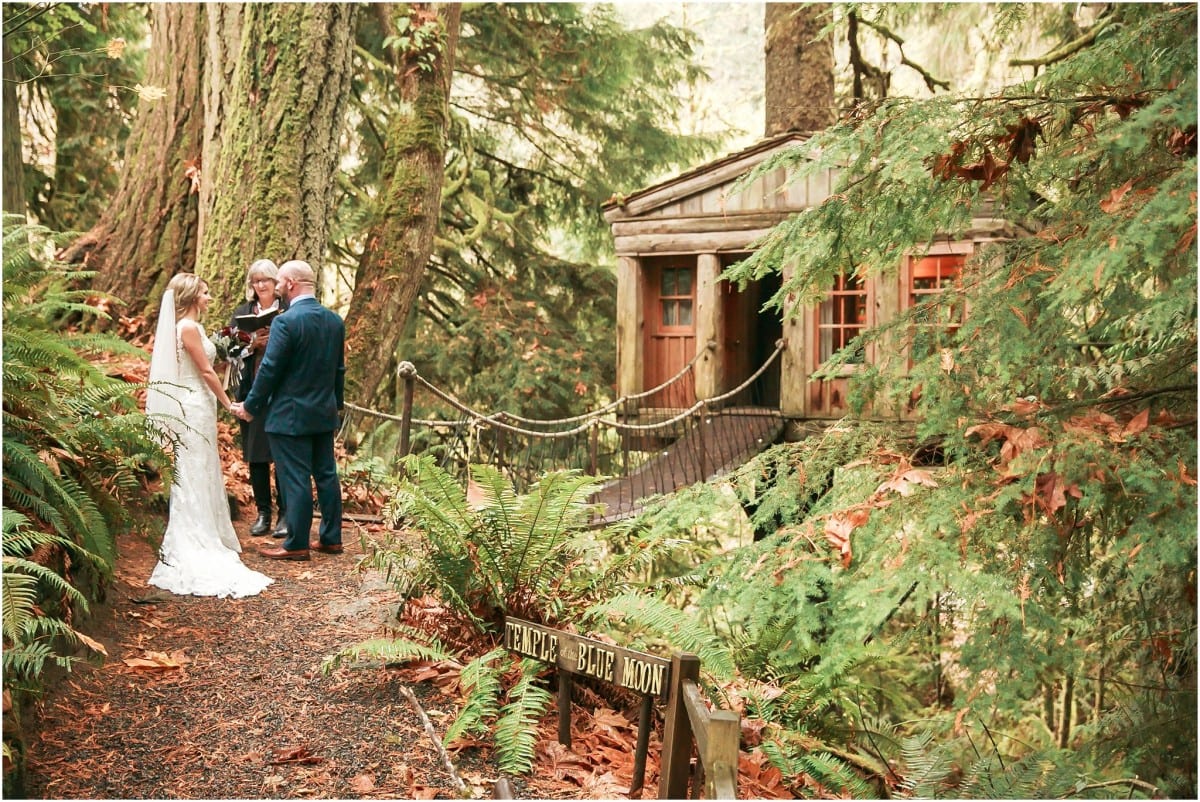 ashley-clay-treehouse-point-elopement_9698
